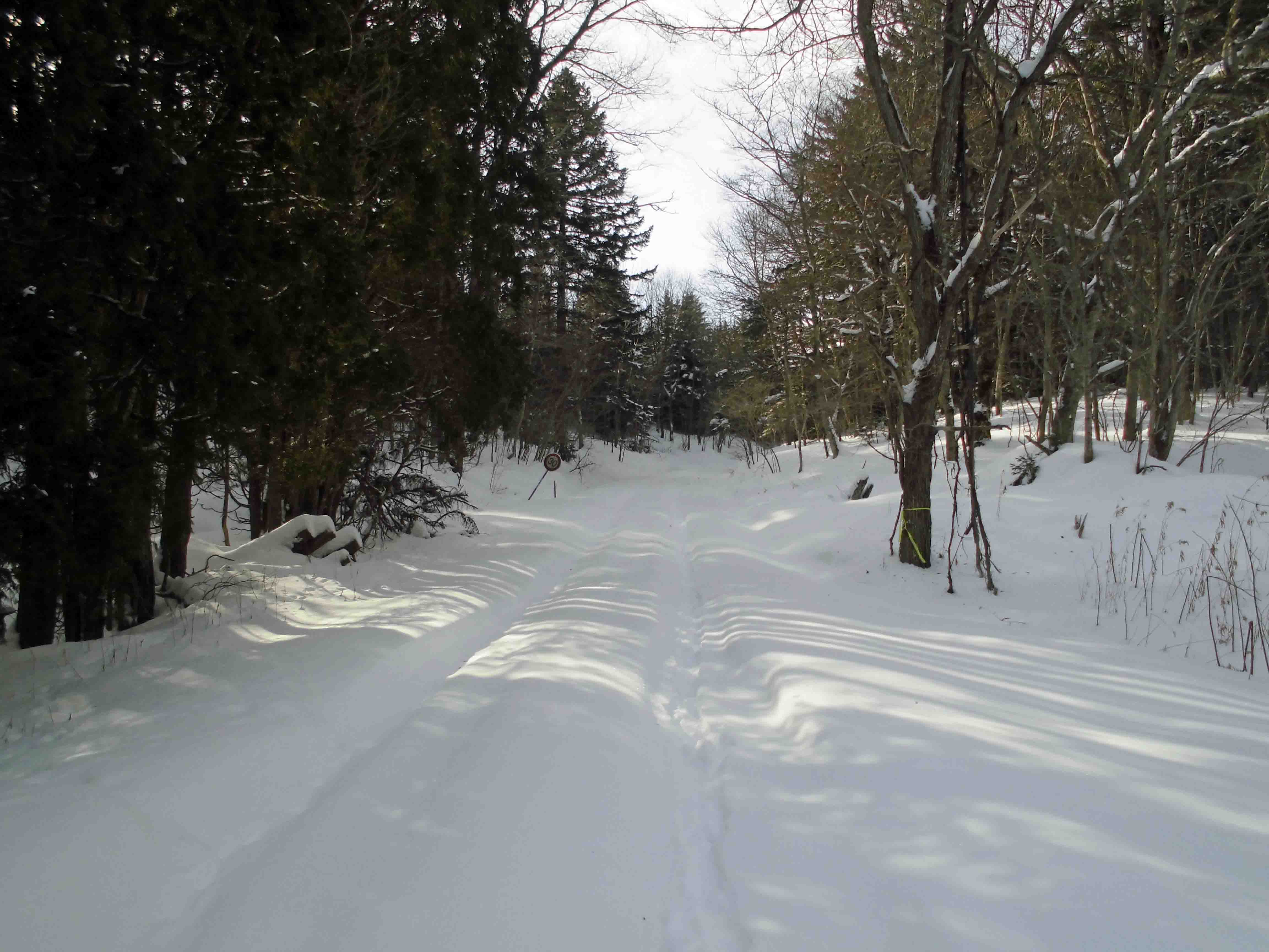 ３３ｋｍの１３ｋｍ地点付近