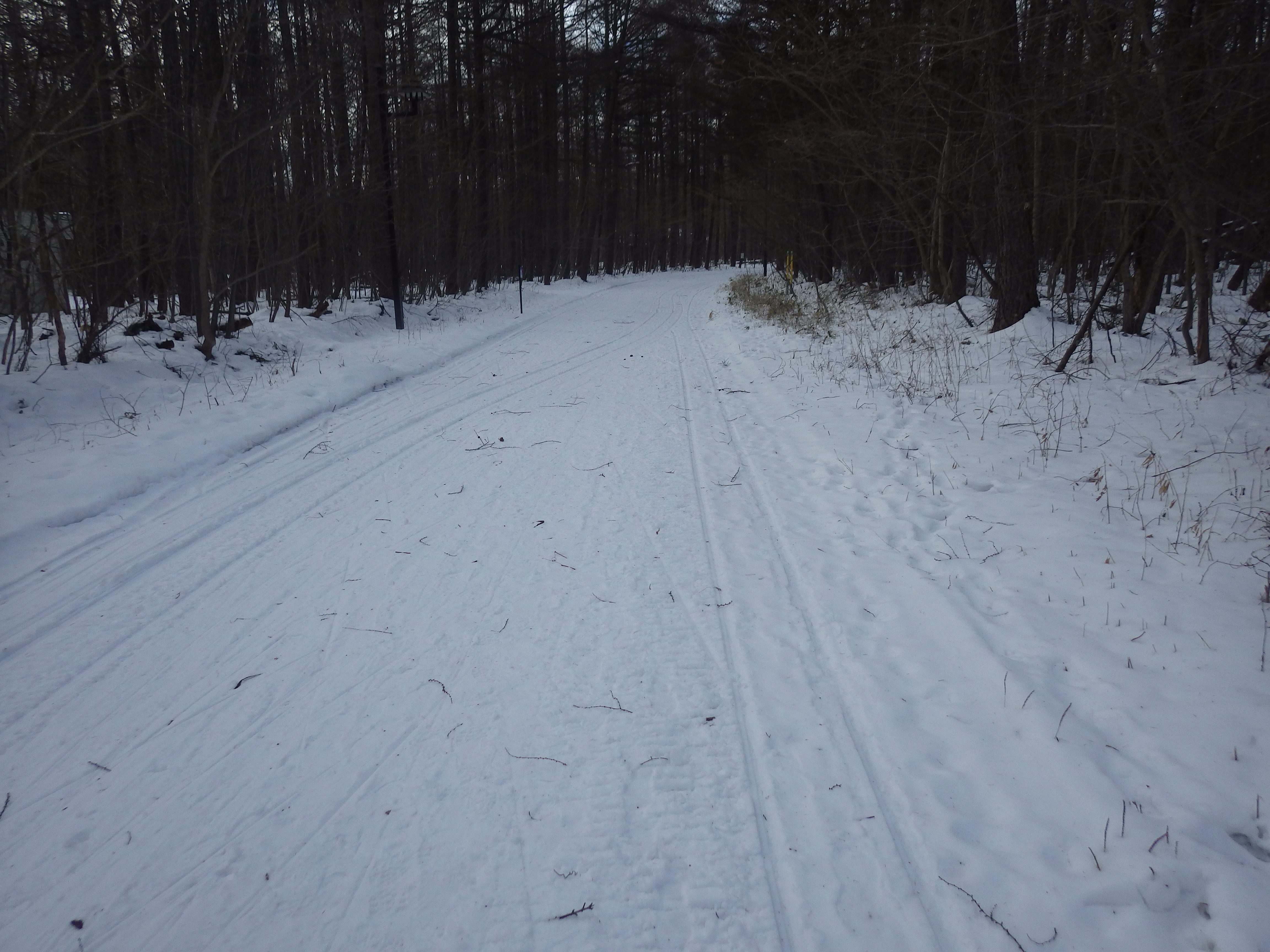 青葉公園内スキーコース（積雪８ｃｍ）