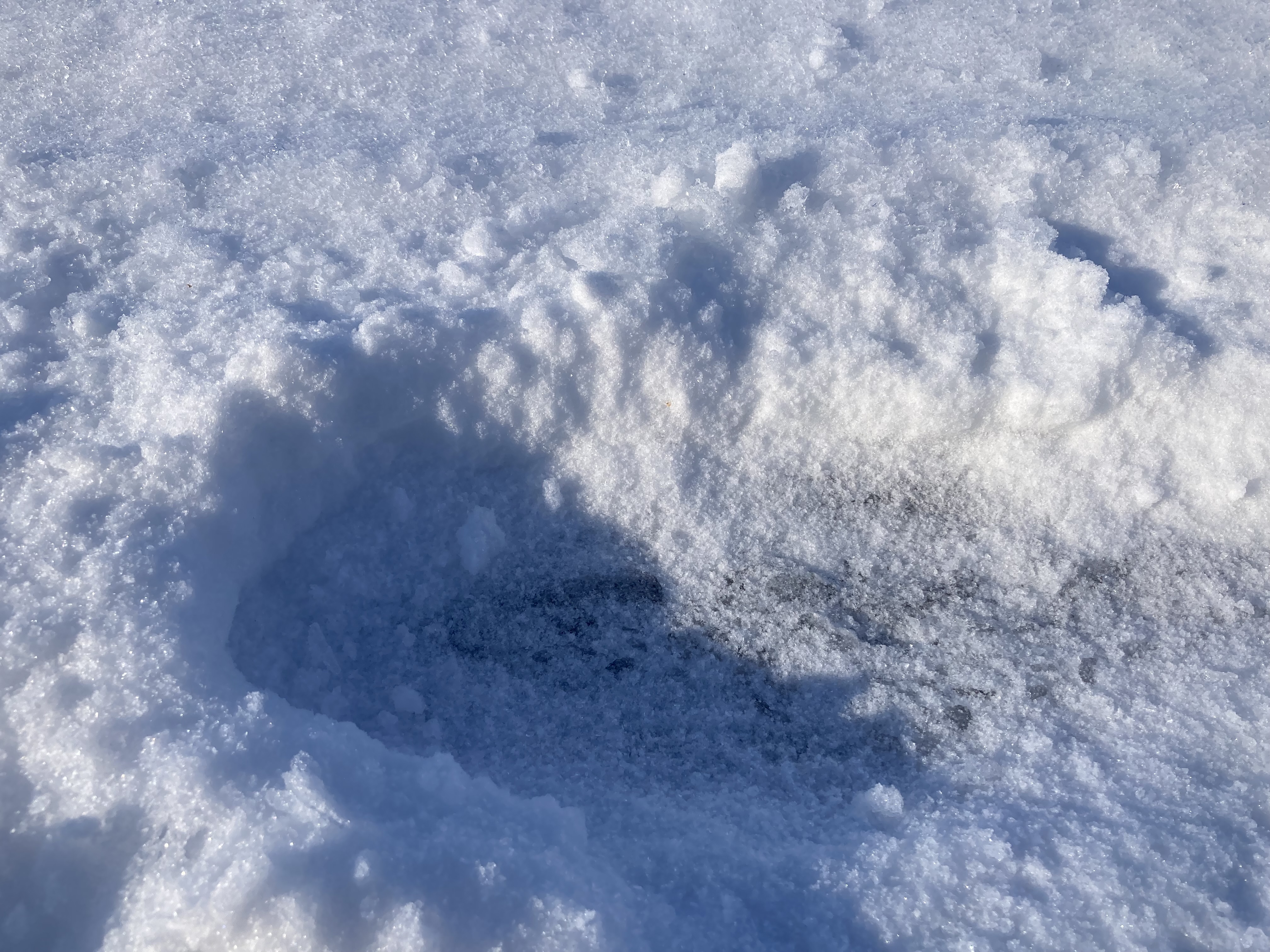 雪合戦会場　ほぼ氷とザラメの積雪３ｃｍない状態